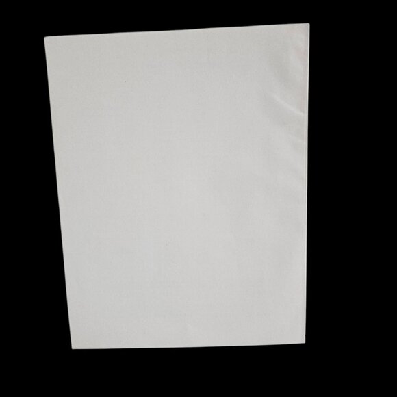 Eastern Air Lines Independent Shareholder Proxy Booklet April 28 1981 Ephemera - Picture 5 of 7